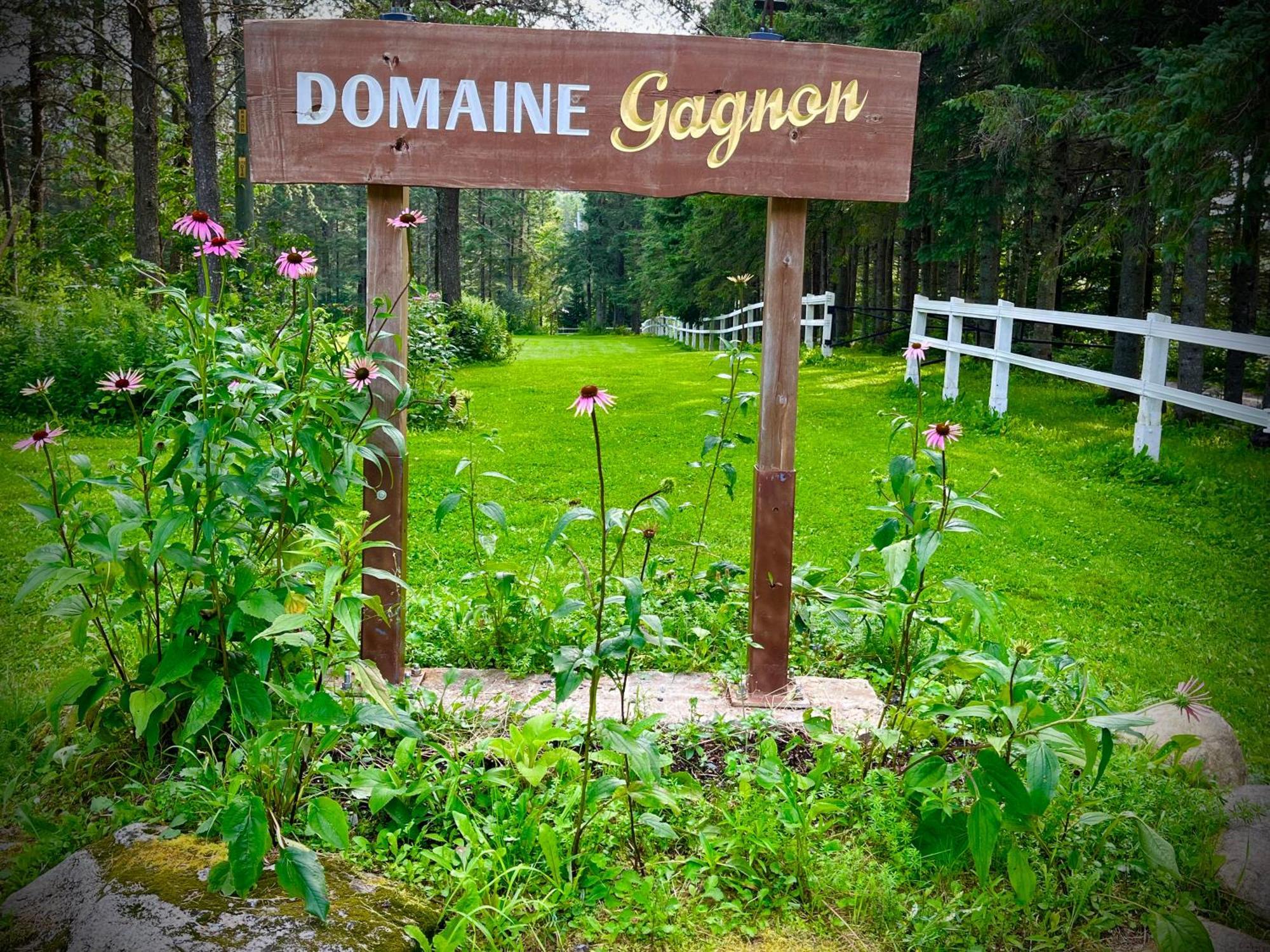 Saint Sebastien Domaine Gagnonヴィラ エクステリア 写真