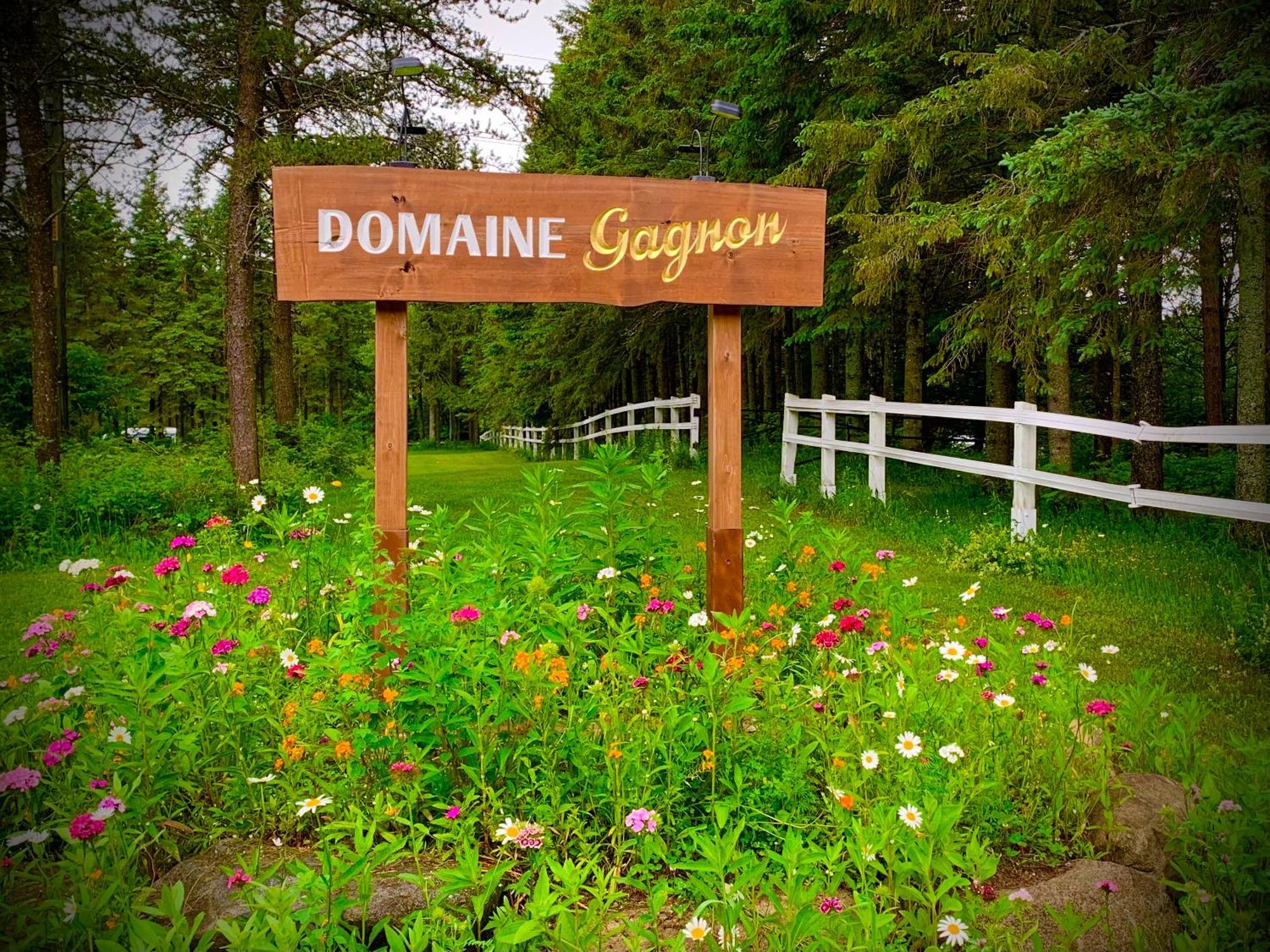 Saint Sebastien Domaine Gagnonヴィラ エクステリア 写真