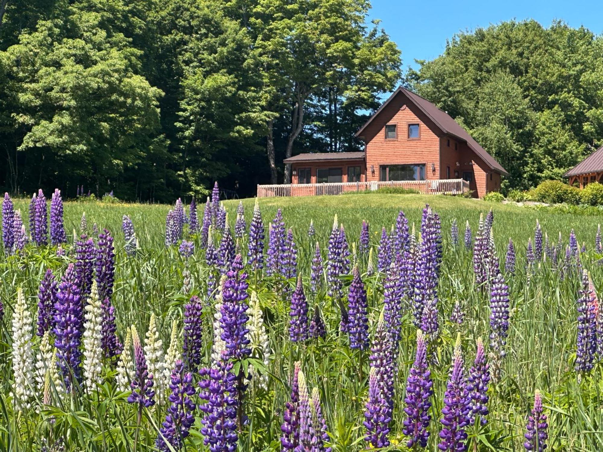 Saint Sebastien Domaine Gagnonヴィラ エクステリア 写真